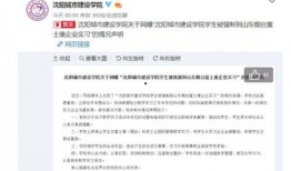 沈阳学生爆料事件最新情况,真相逐步浮出水面，校园安全引关注